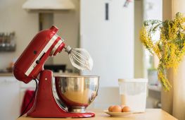 Как выбрать хороший миксер для работы на кухне – характеристики и нюансы разновидностей
